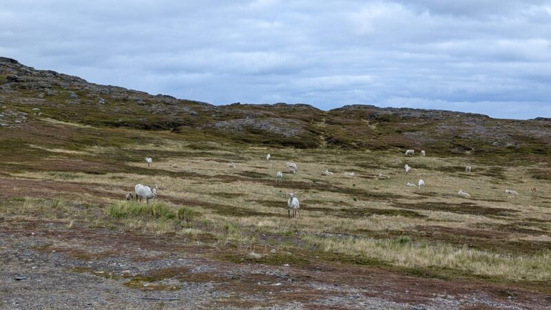 PXL_20250619_135134204