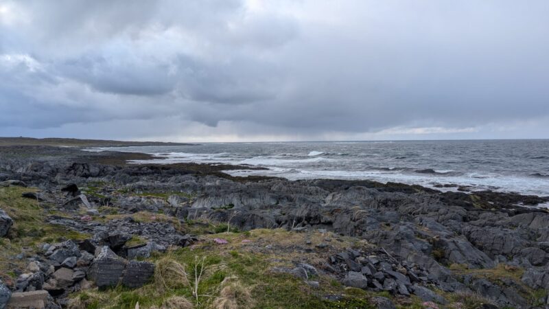 PXL_20250619_161526594