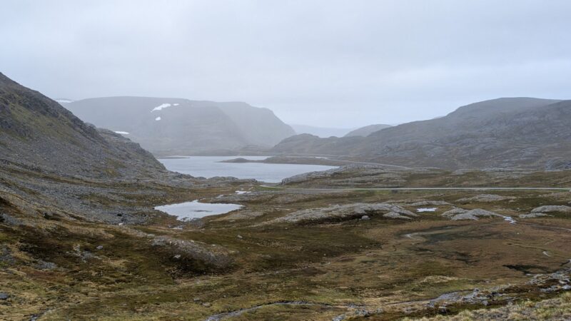 PXL_20250620_082150055