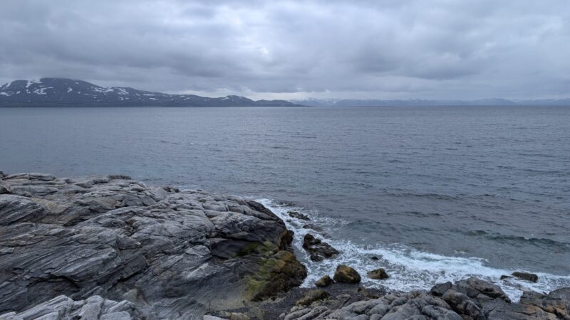 PXL_20250620_112218088