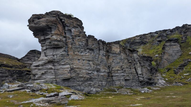 PXL_20250620_121016056