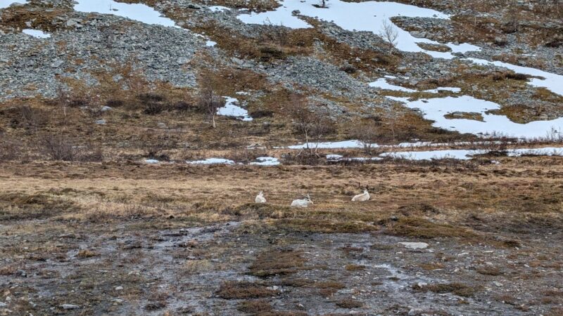 PXL_20250621_140720741