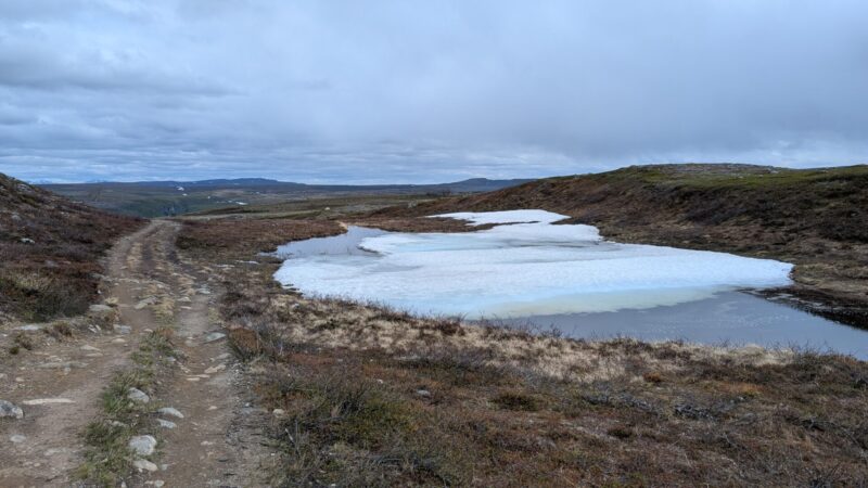 PXL_20250622_111728365