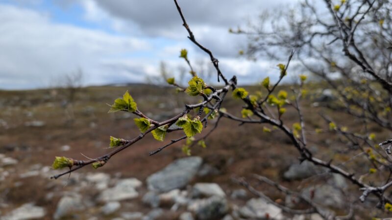 PXL_20250622_114630342