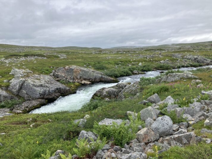 91D144C2-5E74-43FD-96D8-99838564D911-56213-00000B223153FC55