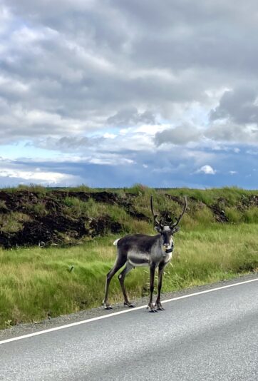 64A37DDD-3821-4CA9-8BEC-08DA29EC64C8-10779-00000200C03617DC