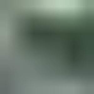 Profile photo of Cornelia Wülbeck