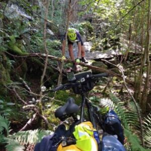 Group logo of Trip Reports